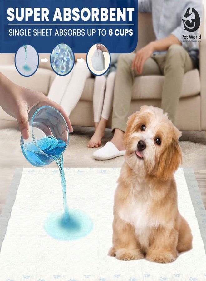 Pet World Dog and Puppy Training Pee Pads with Odor Lock Technology (Pack of1) Leak-Proof,Heavy Duty Absorbency for Indoor Training (60 X 60 cm) |(100 Count) - XL - Image 4